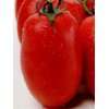 Rote Tomate in Flaschenform   San Marzano   Flaschentomate   10 Samen