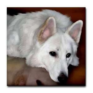 German Shepherd Dog White Pets Tile Coaster by   