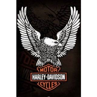  PlastiColor 1002 Large Harley Davidson Logo Molded 14 x 