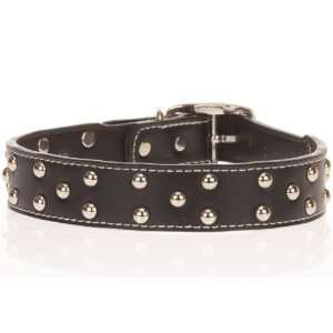 Black Designer Leather Studded Dog Collars 22 Inch  