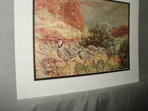 Chukar Partridge on the Run Remington Wildlife Exhibit  