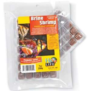  Brine Shrimp Bulk Cubes