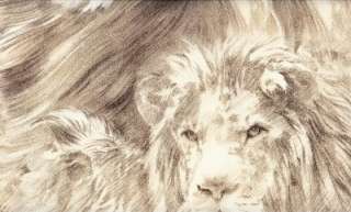 Wallpaper Wild Lion Safari Big Cats Brown On Cream  