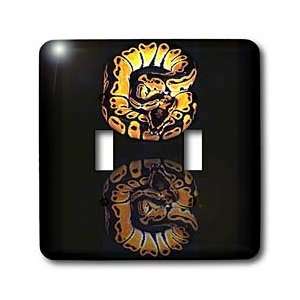  Snakes   Ball Python   Light Switch Covers   double toggle 