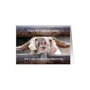 Humorous Goat Belated Anniversary Wishes Cards Paper Greeting Cards 