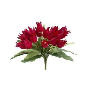  11 Tulip Bush x7 w/21 Flw. Beauty (Pack of 12) Patio 