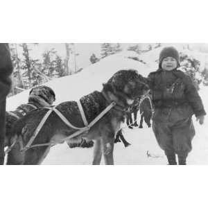  1900 Child and sled dogs in snow.