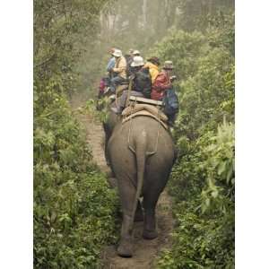 Japanese Tourists on Dawn Elephant Safari, Royal Chitwan National Park 