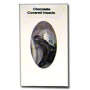 Chocolate Dipped Insects 12 packs Grocery & Gourmet Food