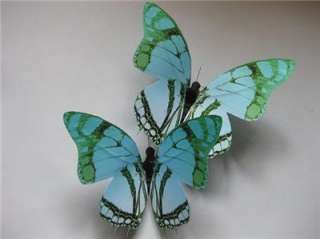 6pc Artificial Butterfly for Wedding Decorations/11cm  
