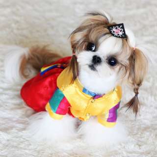 HANBOK NOBLE dog korean clothes pet apparel PUPPY ZZANG  