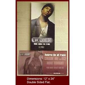 LIL ZANE Young World 12x24 Poster Flat