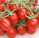 Red Plum Tomato 30 Seeds   Heirloom  