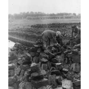   of interior Ireland consists of bogs from which peat is dug Man and w