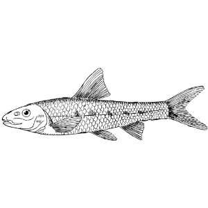   25 inch (58mm) Round Pin Badge Line Drawing Gudgeon