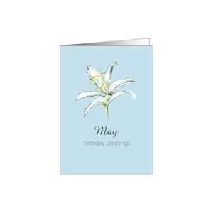 Happy May Birthday Greetings White Lily Flower Pencil 