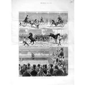   1872 Paris Horse Show France Hunters Trotters Animals