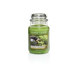Yankee Candle Company Meadow Showers Candle 22 oz (Quantity of 2)