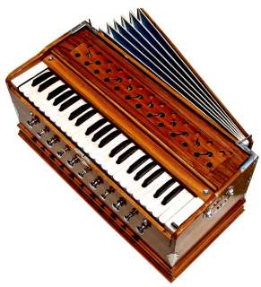 The harmonium is widely accepted in Indian music.