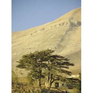  of Lebanon at the Foot of Mount Djebel Makhmal Near Bsharre, Lebanon 