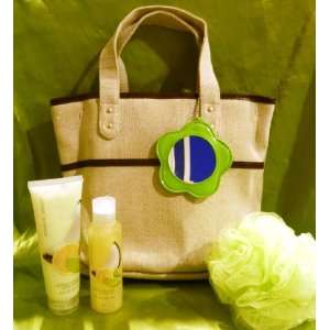 Essence of Beauty Citrus Coconut 4 Piece Gift Set and Shimmer Canvas 