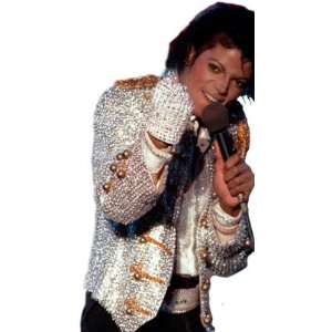   Rubies Costumes Michael Jackson Adult Sequin Glove / Silver   One Size