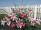   Pink White Lily Memorial Day Funeral Sympathy Grave Saddle Urn Flowers