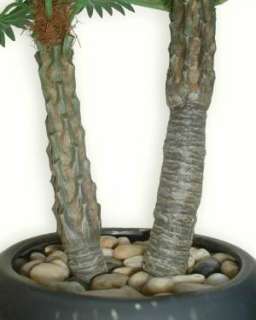 Bismarkia Palm   21 (53cm)   Artificial Silk Plant, Imitation Replica 