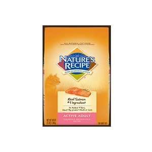 Natures Recipe Active Adult Salmon and Brown Rice Recipe Dry Cat Food 