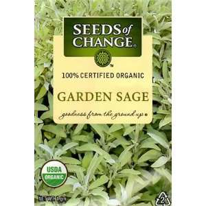  Seeds of Change Organic Garden Sage Seeds   1 gram Patio 