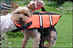 Wearing their Up Buoy Classic Toy (Extra small) size life jackets
