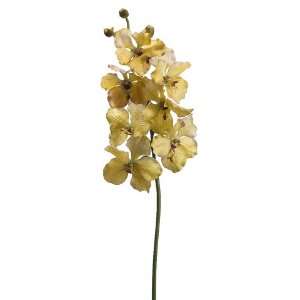  Pack of 6 Artificial Yellow Vanda Orchid Silk Flower 