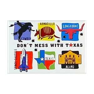   Icons, Texas Magnets, Texas Souvenirs, TX Souvenirs