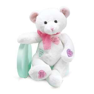  Valentines Day Candy Conversation Hearts Plush Teddy Bear 