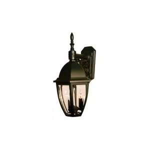   Light Outdoor Wall Light in Verde Bronze with Clear Bent Beveled Glass